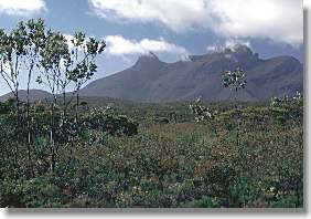 Pyungoorup and Ellen Peaks