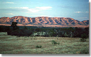 Flinders Ganes near Hawker